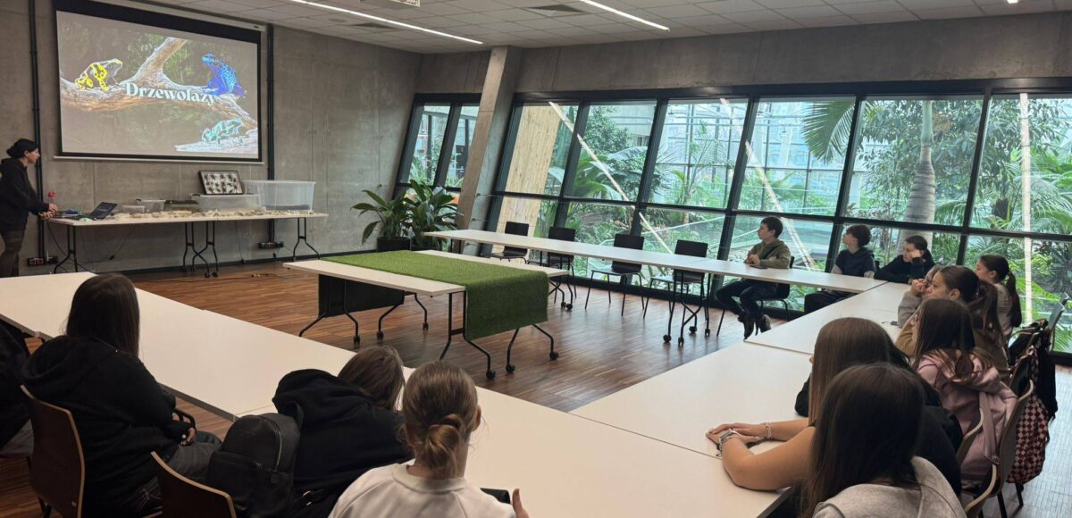 Uczniowie klasy VI podczas warsztatów w Egzotarium – młodzież siedzi przy stołach i uczestniczy w prezentacji dotyczącej zwierząt terrarystycznych.