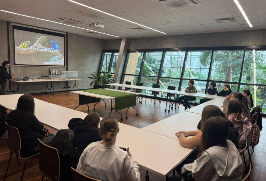 Uczniowie klasy VI podczas warsztatów w Egzotarium – młodzież siedzi przy stołach i uczestniczy w prezentacji dotyczącej zwierząt terrarystycznych.